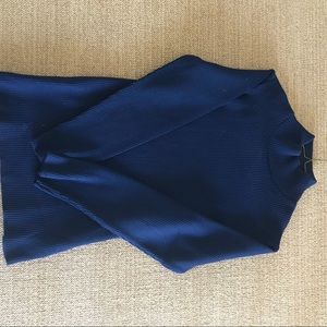 Blue Turtle Neck